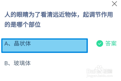 蚂蚁庄园2024.11.27人的眼睛起调节作用的是哪个