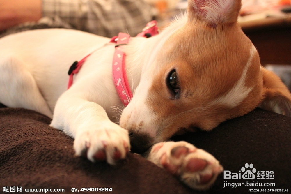 ps如何切换操作图象