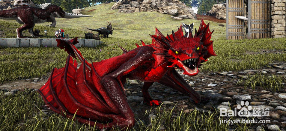 方舟酒桶怎么装水