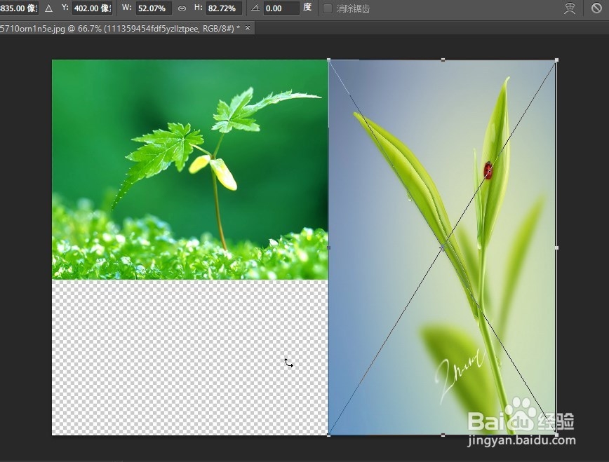 如何将两张或多张图片合并拼成一张图片?