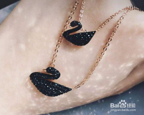 怎么区分黑天鹅真假