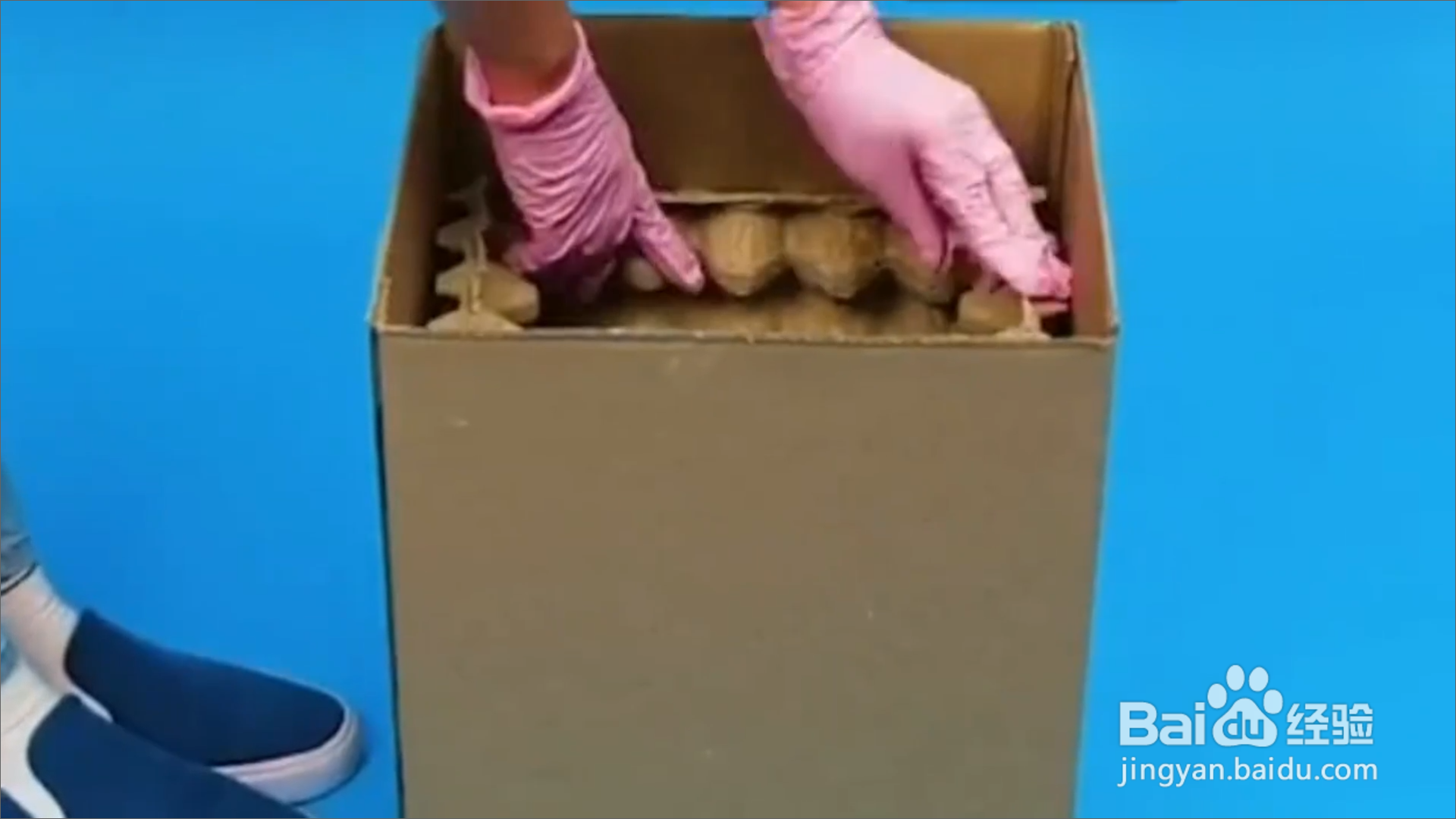 怎样知道鸡蛋盒子的妙用