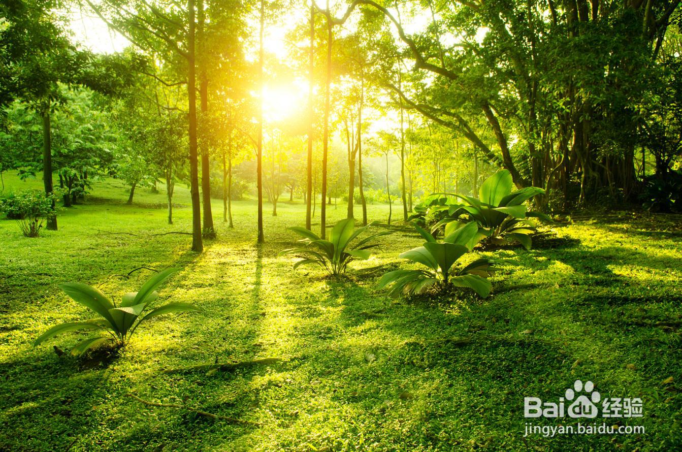 3d渲染过程是怎样的？