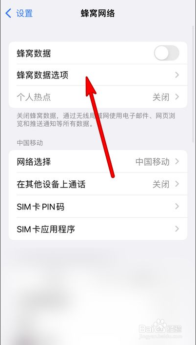 iphone13怎么关闭5G