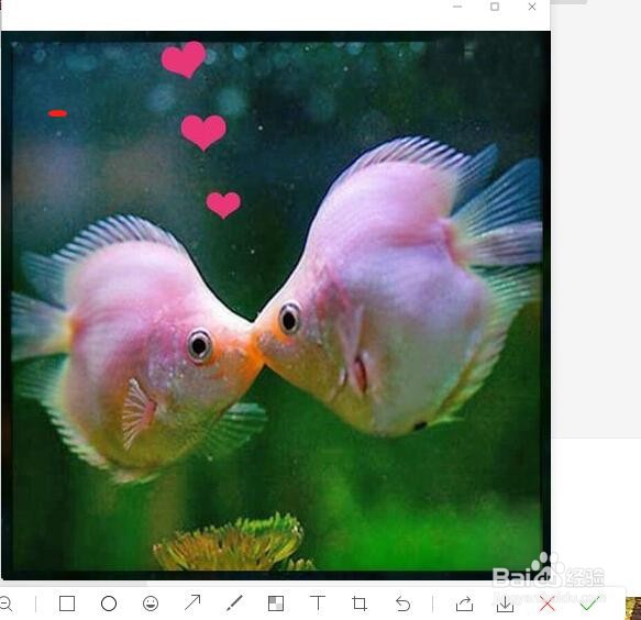 电脑微信如何对图片进行椭圆形标注