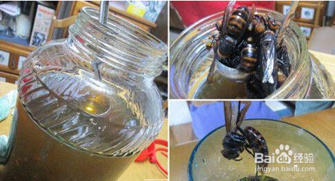 令人发指的黑暗界饮料有哪些？