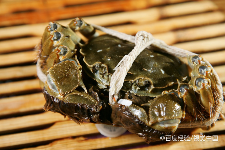 花蟹怎么挑选