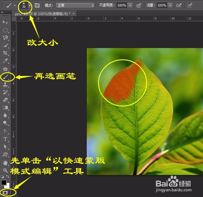 PS实例:抠图方法、技巧集合(二)
