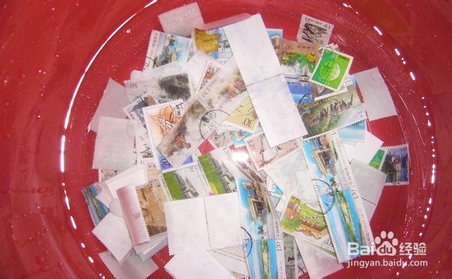 怎样分辨邮票真伪