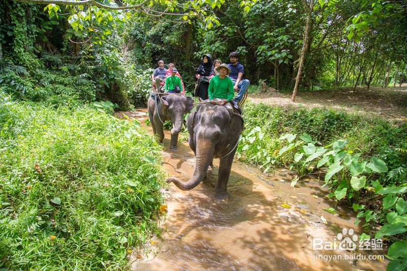 美丽普吉岛的度假之旅
