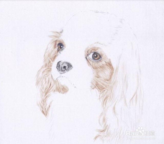 素描如何画动物