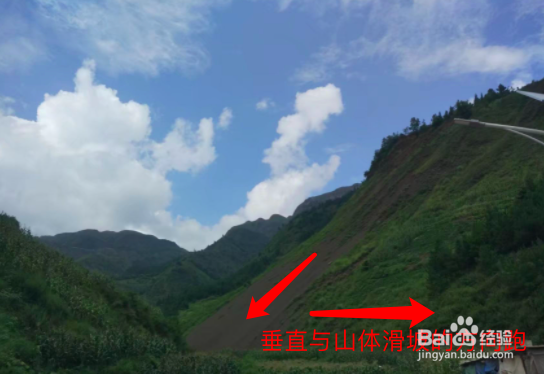 地震时你正好在山林中玩耍时怎么办?