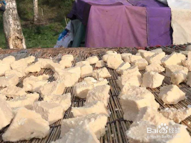 酸奶疙瘩怎么做