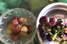 怎么调制一道美味的椰蓉葡萄小方?