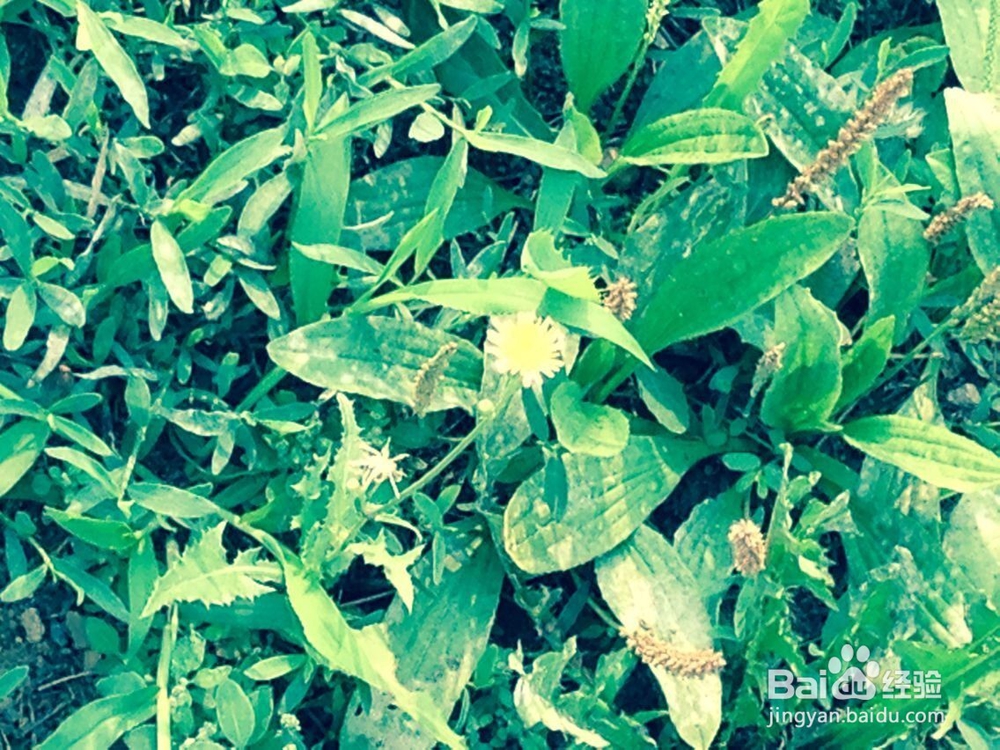 惹父母生气怎么办?