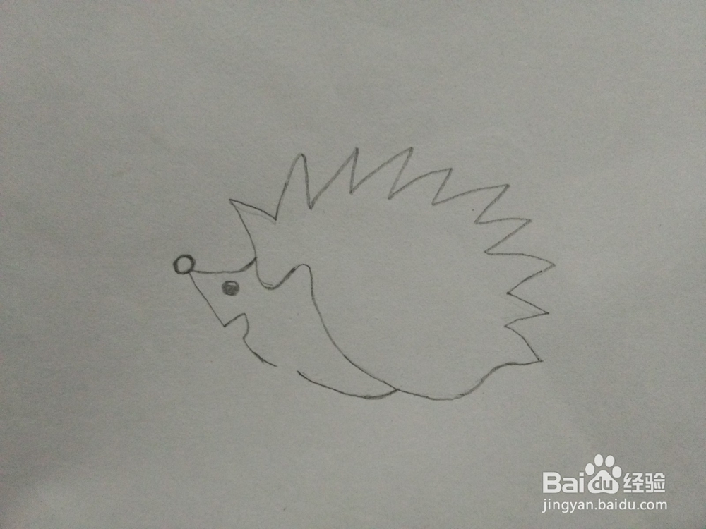 简笔画——怎么画刺猬