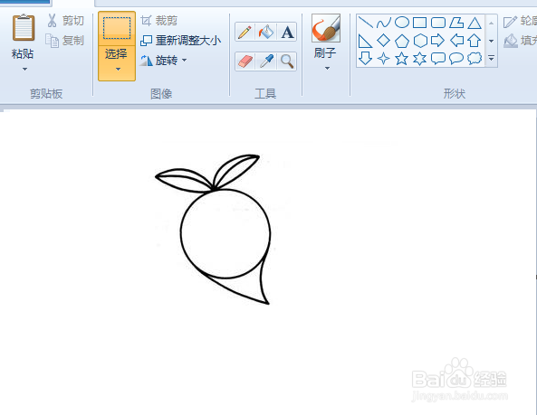 用电脑画白萝卜简笔画