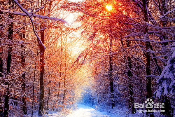 怎么拍照才会好看？