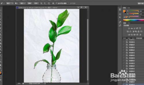 ps实用小技巧：快速抠出植物