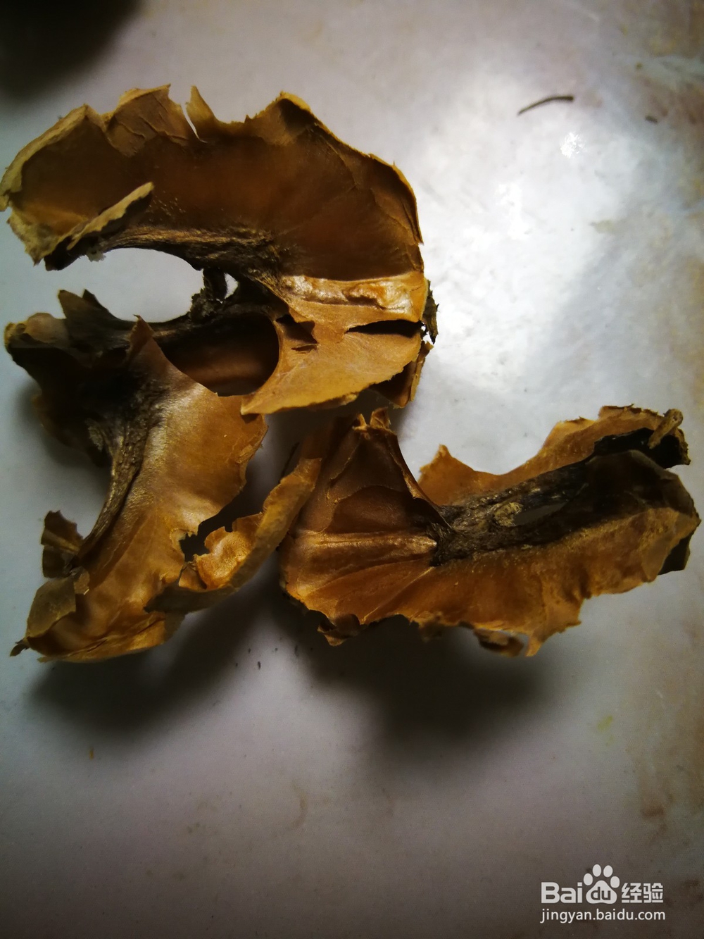 核桃隔心木的制取