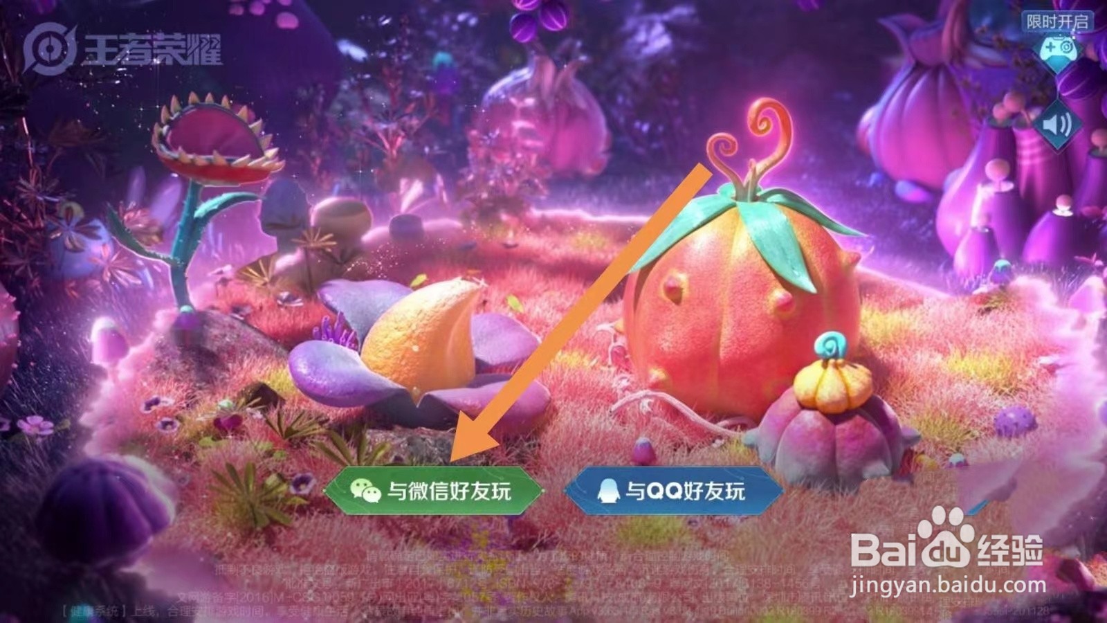 王者怎么扫码登录王者