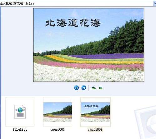 Word2003当PS用“给图片加字”的制作全过程