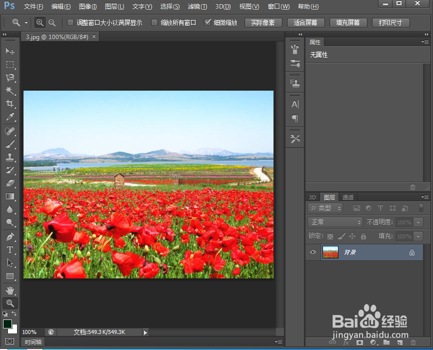 ps给图片添加砖形底纹效果
