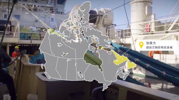 柠檬黄油烤加拿大龙虾