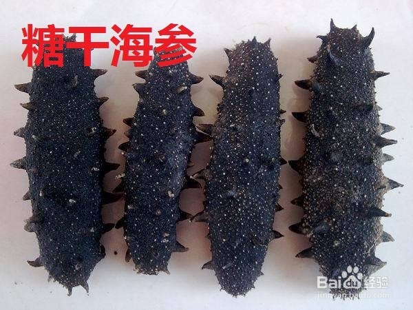 如何区分干海参的好坏