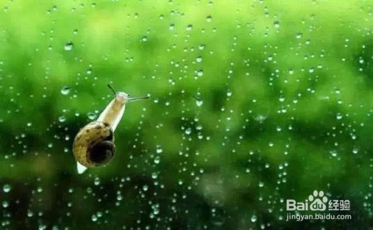 湿气重的人,脸上会有哪些信号?