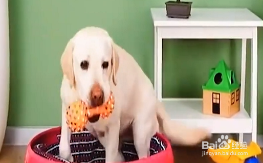 变废为宝小妙招