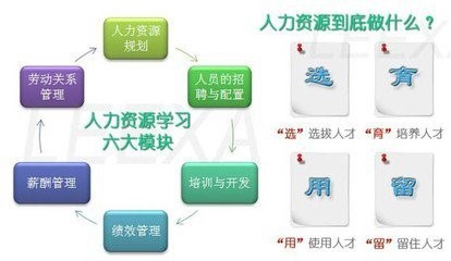 在校大学生怎样备考企业人力资源管理师三级？