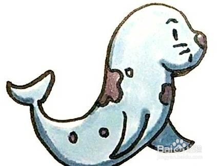 海豹的简单画法步骤