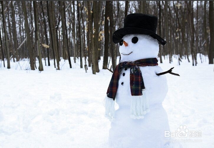 如何享受冬天大雪带来的快乐