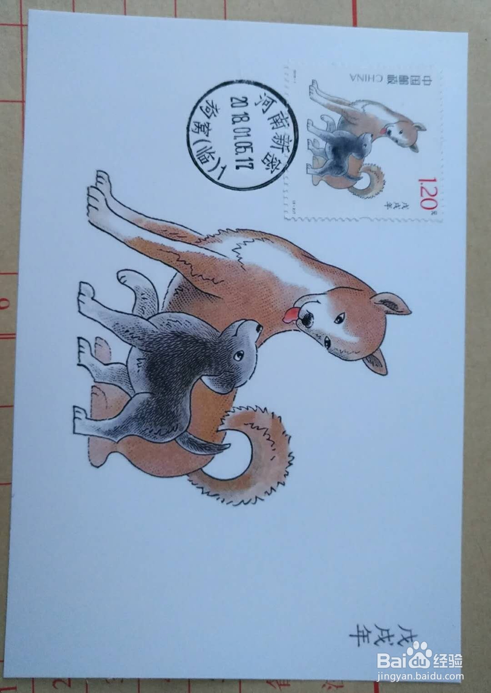 我的集邮经验分享,新手如何快速入门