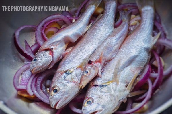 夏天和啤酒焖鱼最搭
