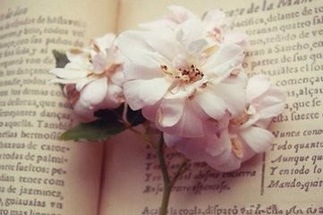 2017考研党须知:考研英语写作怎么复习