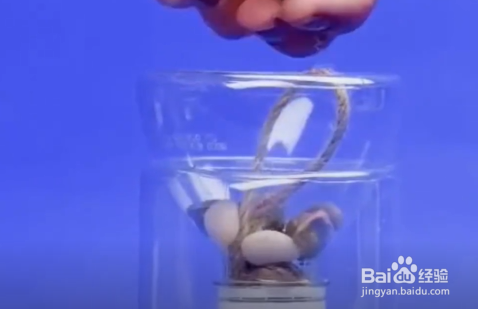 塑料瓶怎么变废为宝