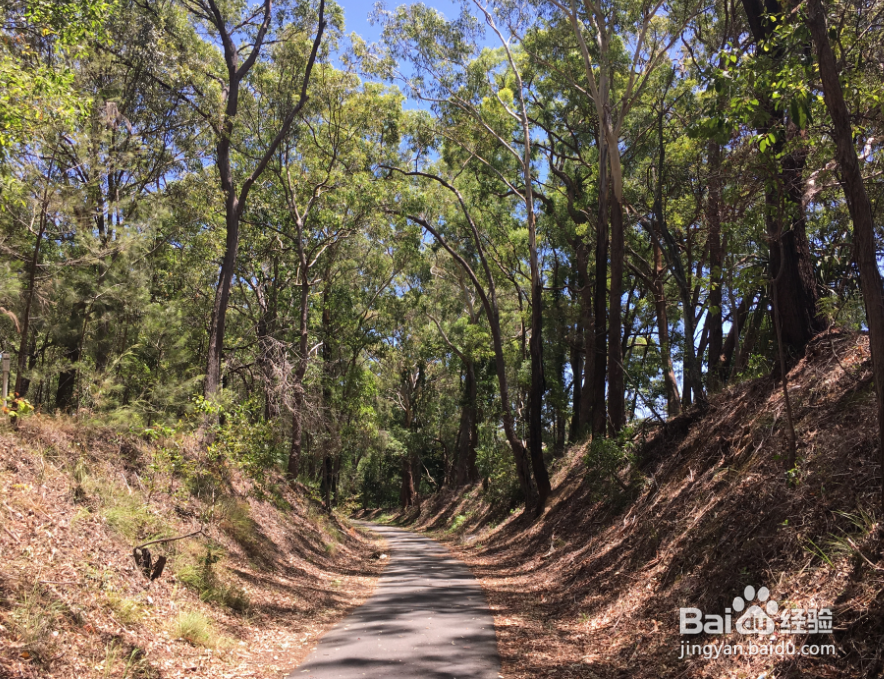 澳洲自行车骑行经验