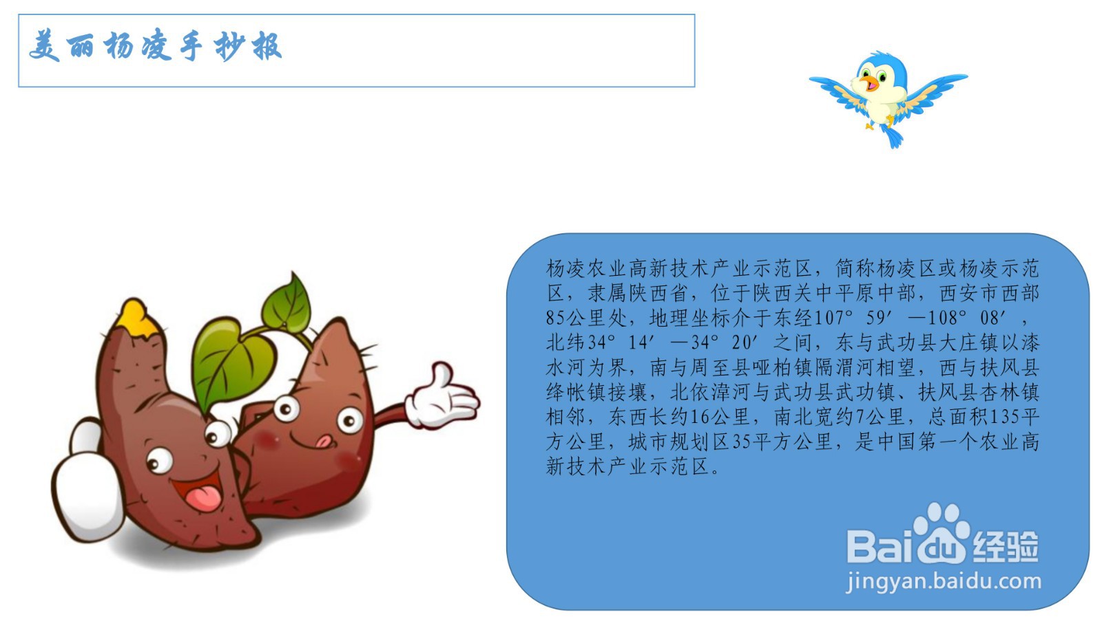 美丽杨凌手抄报