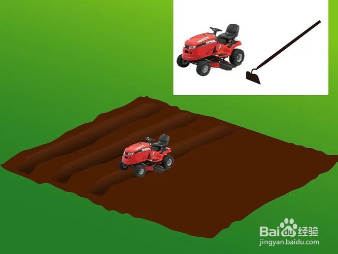 西瓜种植方法与时间