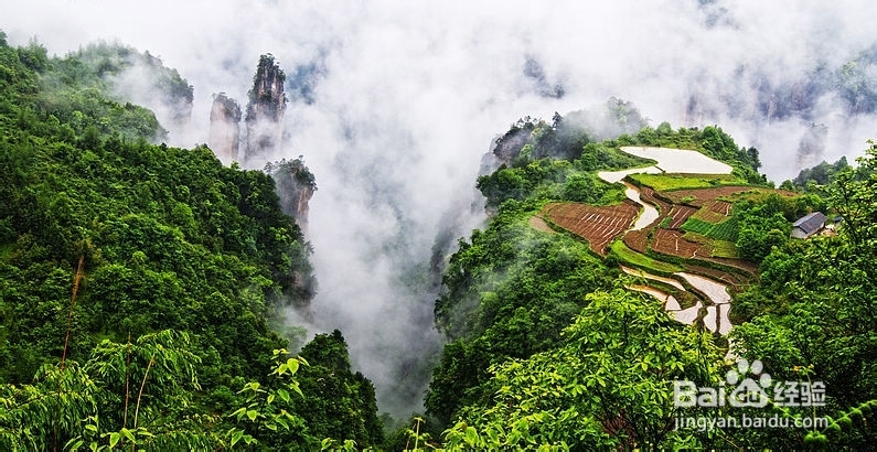 随州到张家界自驾游