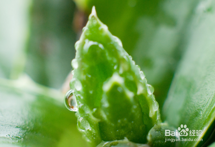 一个月减肥三十斤,吃出苗条身材