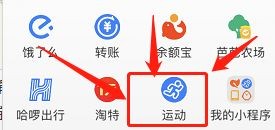 怎么在支付宝里捐赠步数