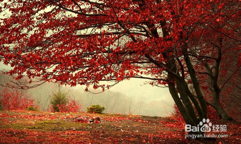 冬天骑车必备品