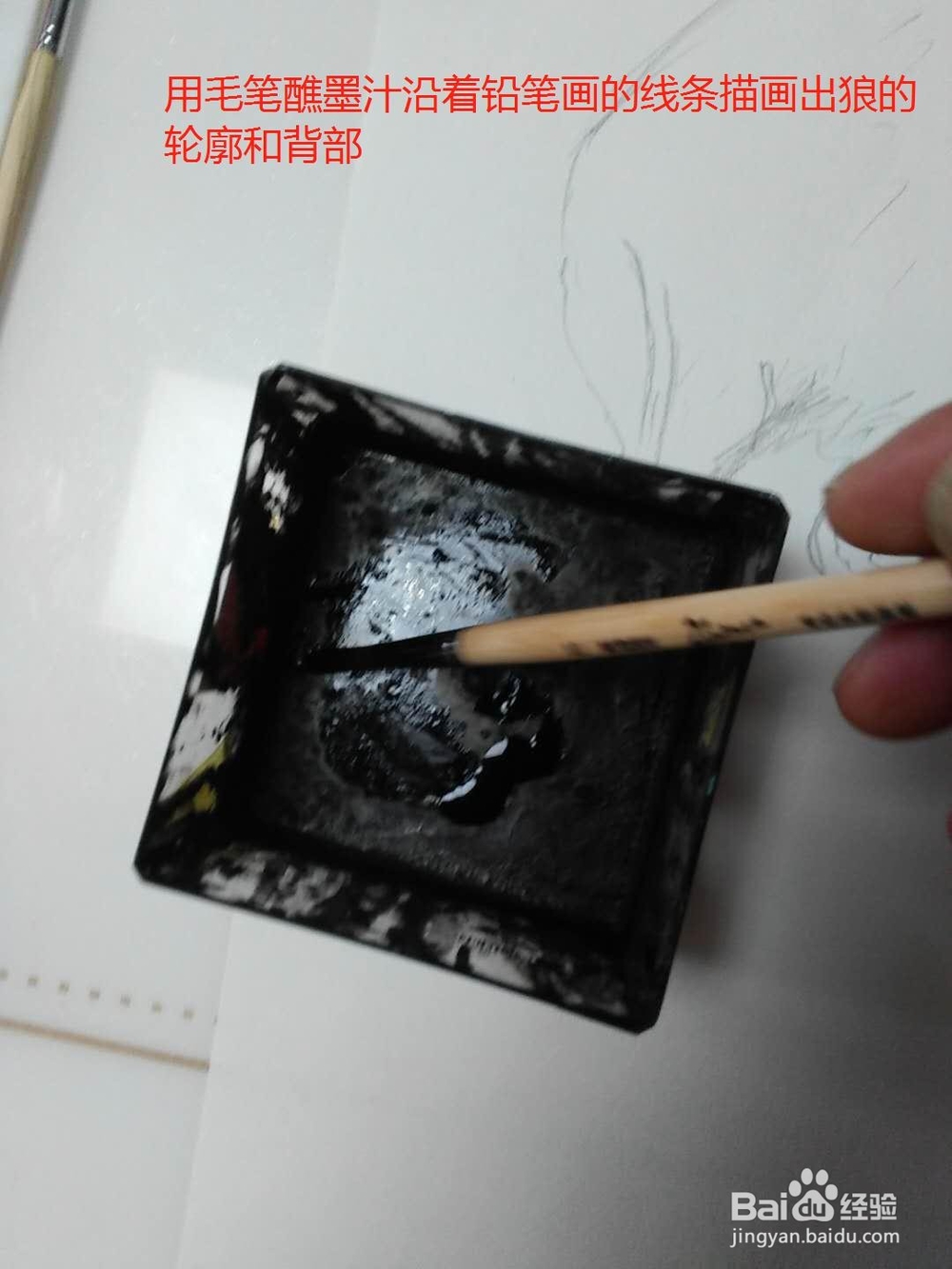水彩画咆哮的狼的画法