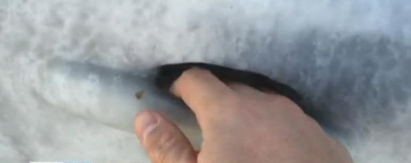 车门冻了打不开怎么办