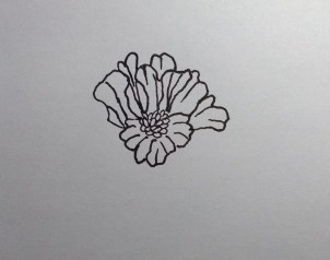 线描画：怎么画石榴花如何画石榴花（步骤）