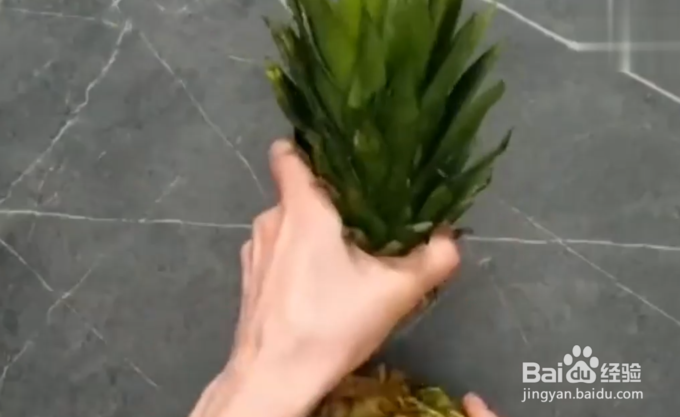 如何自己种植水果蔬菜