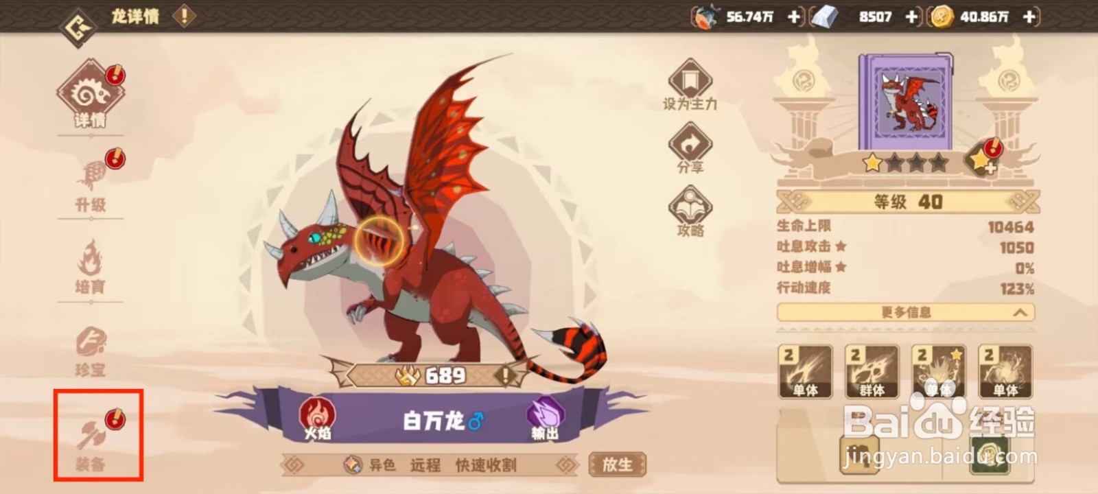 驯龙高手旅程白万龙如何穿戴装备？